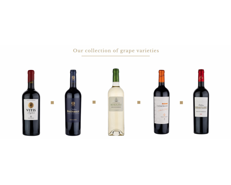 这些参展企业首次来华在糖酒会上寻求合作商！